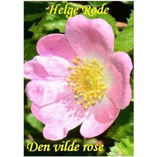 Den vilde rose