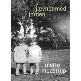 Jævnet med jorden