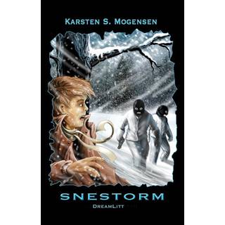 Snestorm