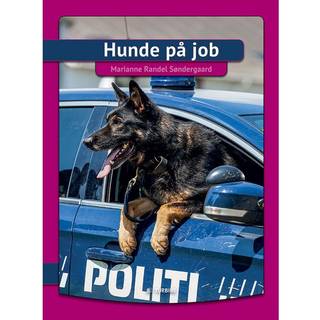 Hunde på job