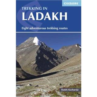 Trekking in Ladakh