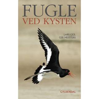 Fugle ved kysten