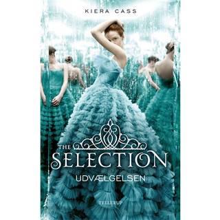The Selection #1: Udvælgelsen (E-bog)