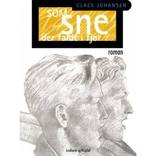 Som sne der faldt i fjor