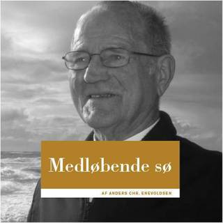 Medløbende sø