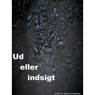 Ud eller indsigt