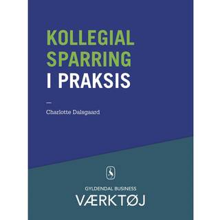 Kollegial sparring i praksis