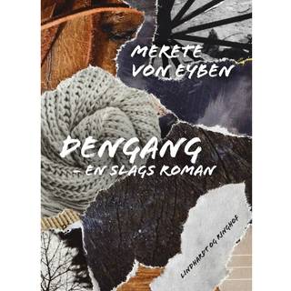Dengang. En slags roman