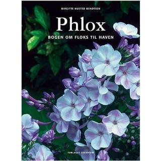 Phlox