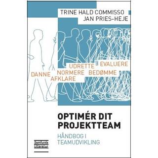 Optimér dit projektteam