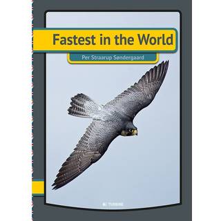 Fastest in the world