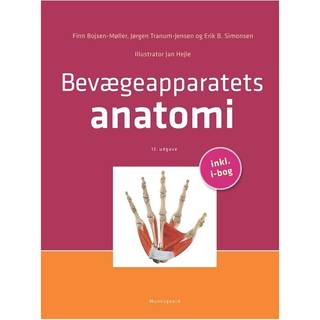 Bevægeapparatets anatomi