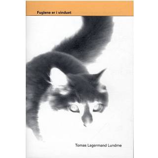 Fuglene er i vinduet