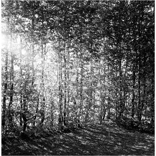 Et foranderligt monument