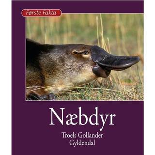 Næbdyr