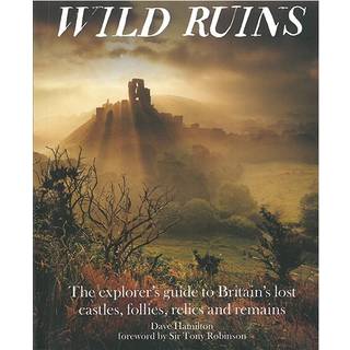 Wild Ruins