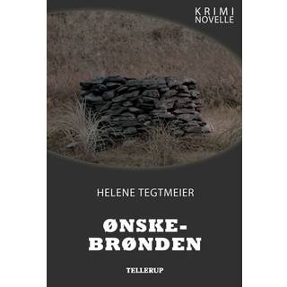 Krimi Novelle - Ønskebrønden (E-bog)