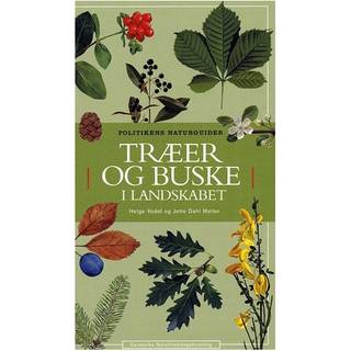 Træer og buske i landskabet