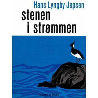 Stenen i strømmen