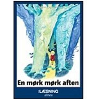 En mørk mørk aften