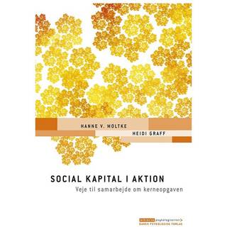 Social kapital i aktion