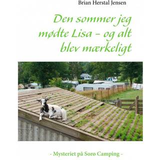 Den sommer jeg mødte Lisa - og alt blev mærkeligt