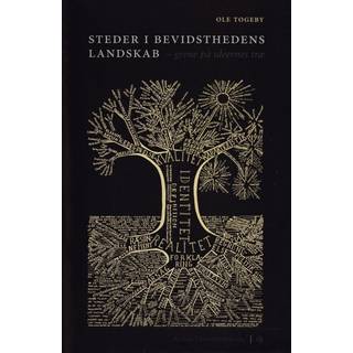 Steder i bevidsthedens landskab