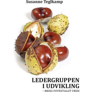 Ledergruppen i udvikling