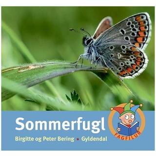 Sommerfugl