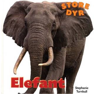 Elefant