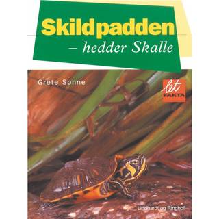 Skildpadden - hedder Skalle
