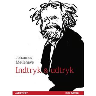 Indtryk og udtryk