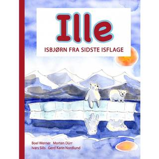 Ille isbjørn fra sidste isflage