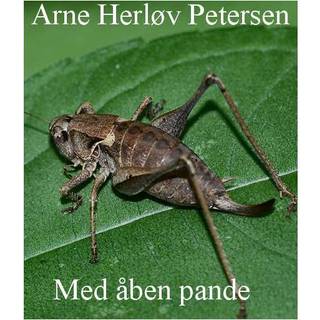 Med åben pande