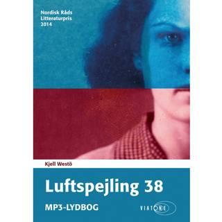 Luftspejling 38