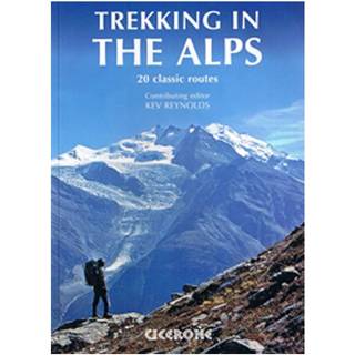 Trekking in the Alps