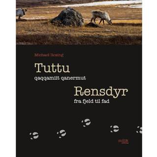 Tuttu qaqqamiit qanermut / Rensdyr fra fjeld til fad