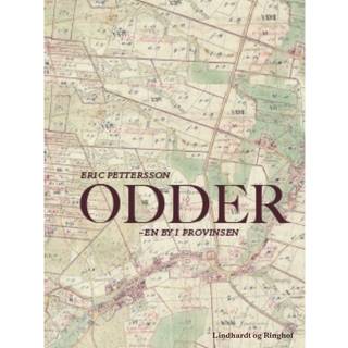 Odder - en by i provinsen