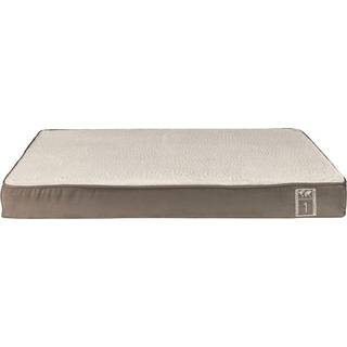 Best of all breeds vital pude, 60 × 40 cm, taupe / lys grå