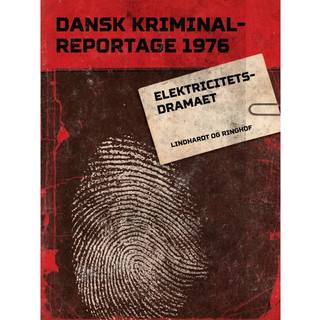 Elektricitetsdramaet