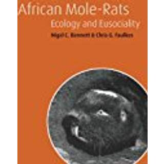 African Mole-Rats