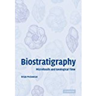 Biostratigraphy