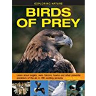 Exploring Nature: Birds of Prey