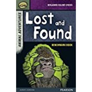 Rapid Stage 7 Assessment book: Lost and Found