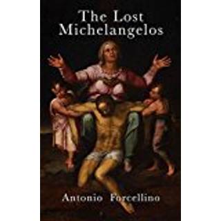 The Lost Michelangelos