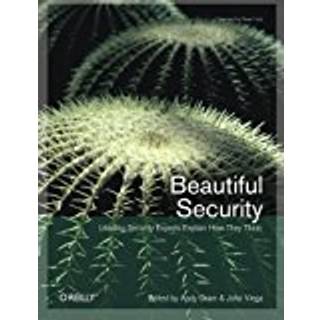 Beautiful Security (4, 2009) | Andy Oram