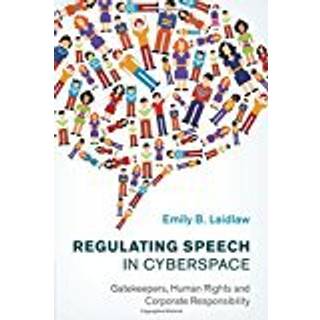 Regulating Speech in Cyberspace