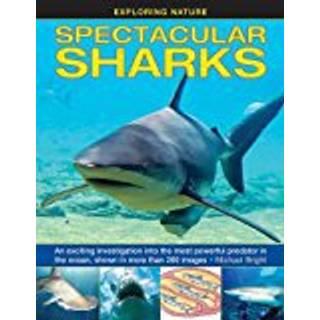Exploring Nature: Spectacular Sharks