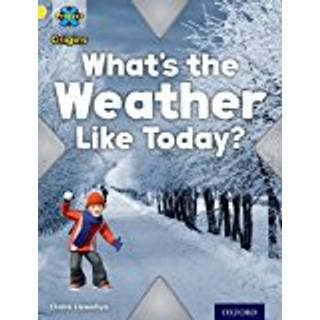 Project X Origins: Yellow Book Band, Oxford Level 3: Weather: What's the Weather Like today?