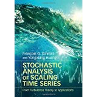 Stochastic Analysis of Scaling Time Series